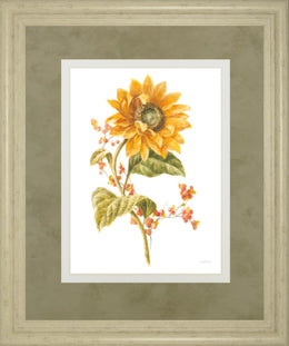 Floursack Autumn I On White By Danhui Nai 34X40 Framed Print