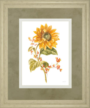 Floursack Autumn I On White By Danhui Nai 34X40 Framed Print