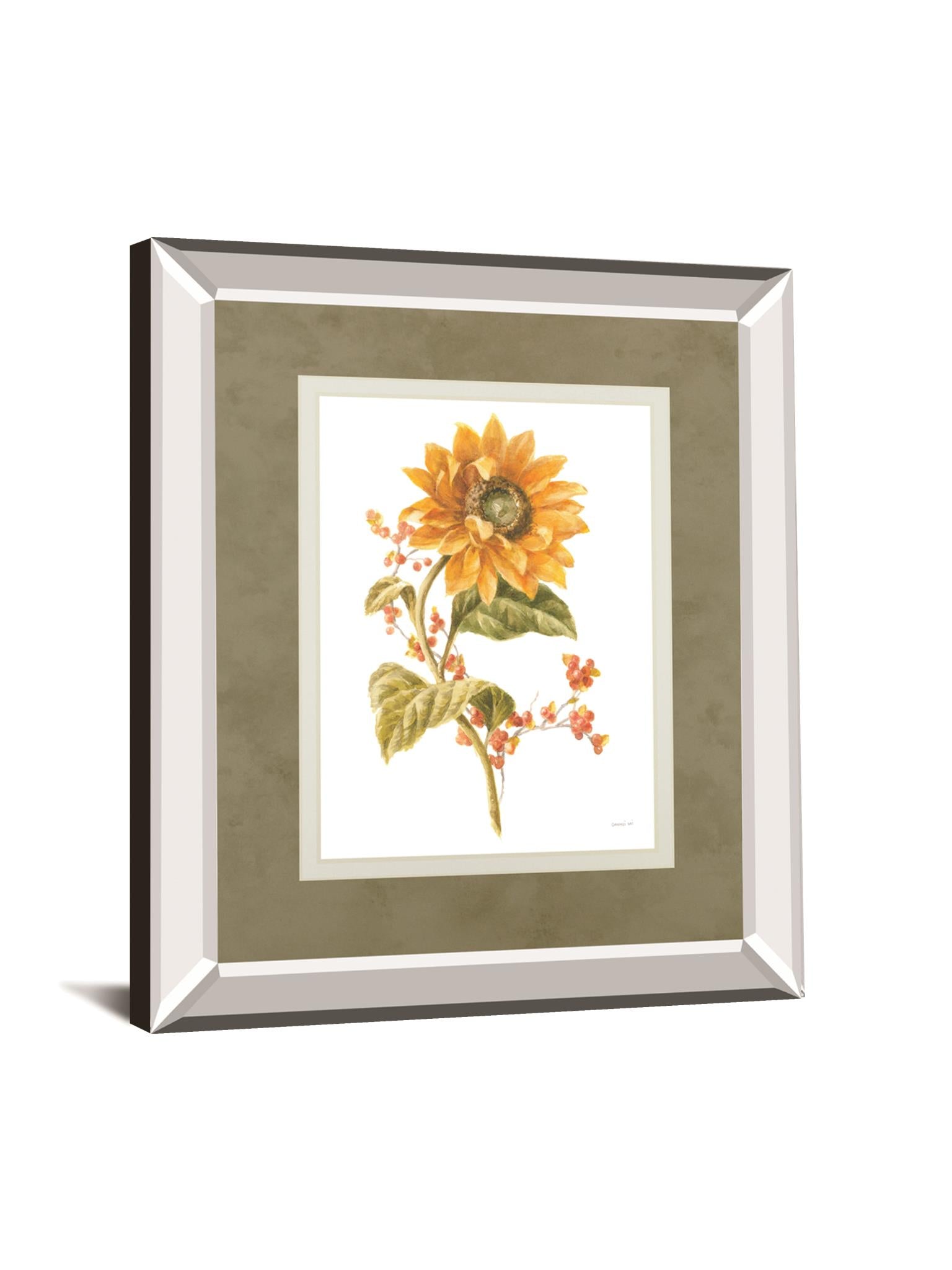 Floursack Autumn I On White By Danhui Nai 34X40 Mirror Frame Print