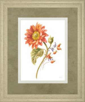 Floursack Autumn Ii On White By Danhui Nai 34X40 Framed Print