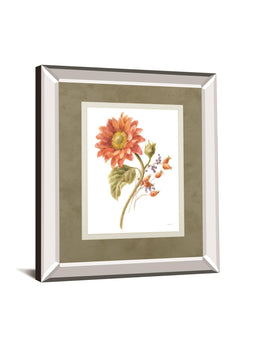 Floursack Autumn Ii On White By Danhui Nai 34X40 Mirror Frame Print