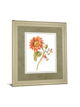 Floursack Autumn Ii On White By Danhui Nai 34X40 Framed Print