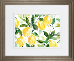 Lemony Branches By Carol Robinson 34X40 Framed Print