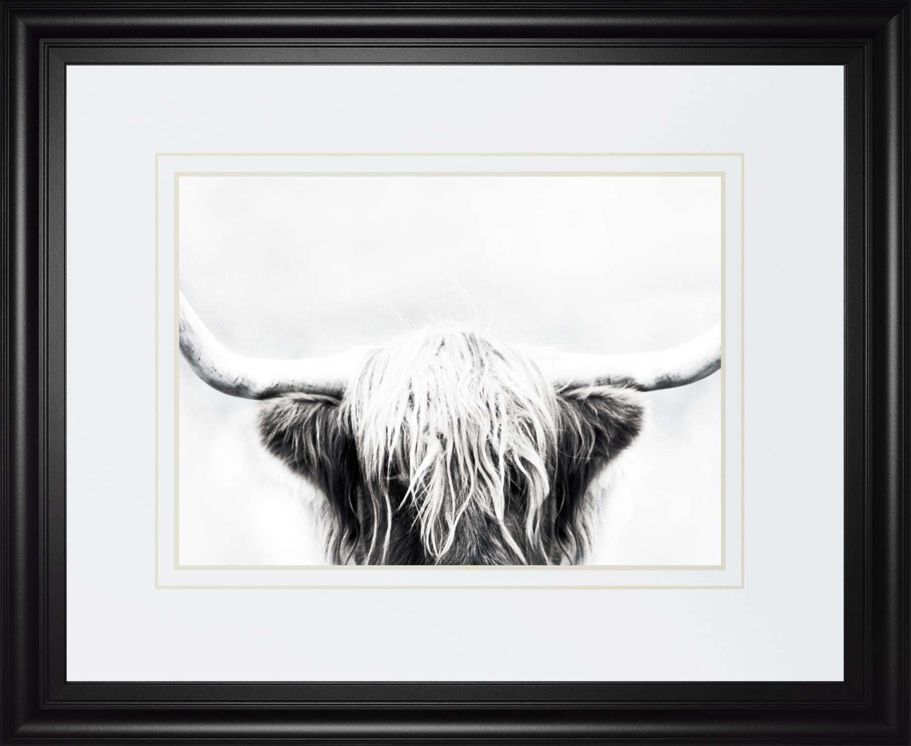 Longhorn By Danita Delimont 34X40 Framed Print