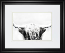 Longhorn By Danita Delimont 34X40 Framed Print