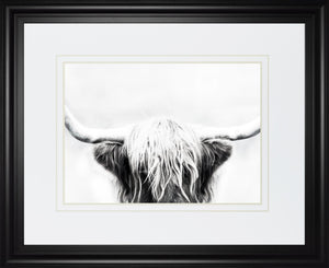 Longhorn By Danita Delimont 34X40 Framed Print