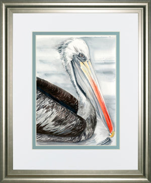 Grey Pelican I By Jennifer Paxton Parker 34X40 Framed Print
