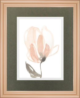 Blush Petals Ii By Jennifer Goldberger 34X40 Framed Print