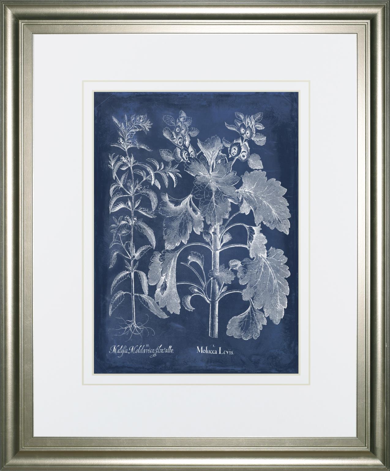 Besler Leaves In Indigo I By Vision Studio 34X40 Framed Print