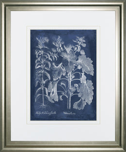 Besler Leaves In Indigo I By Vision Studio 34X40 Framed Print
