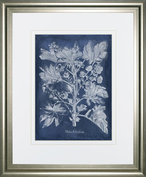 Besler Leaves In Indigo Ii By Vision Studio 34X40 Framed Print