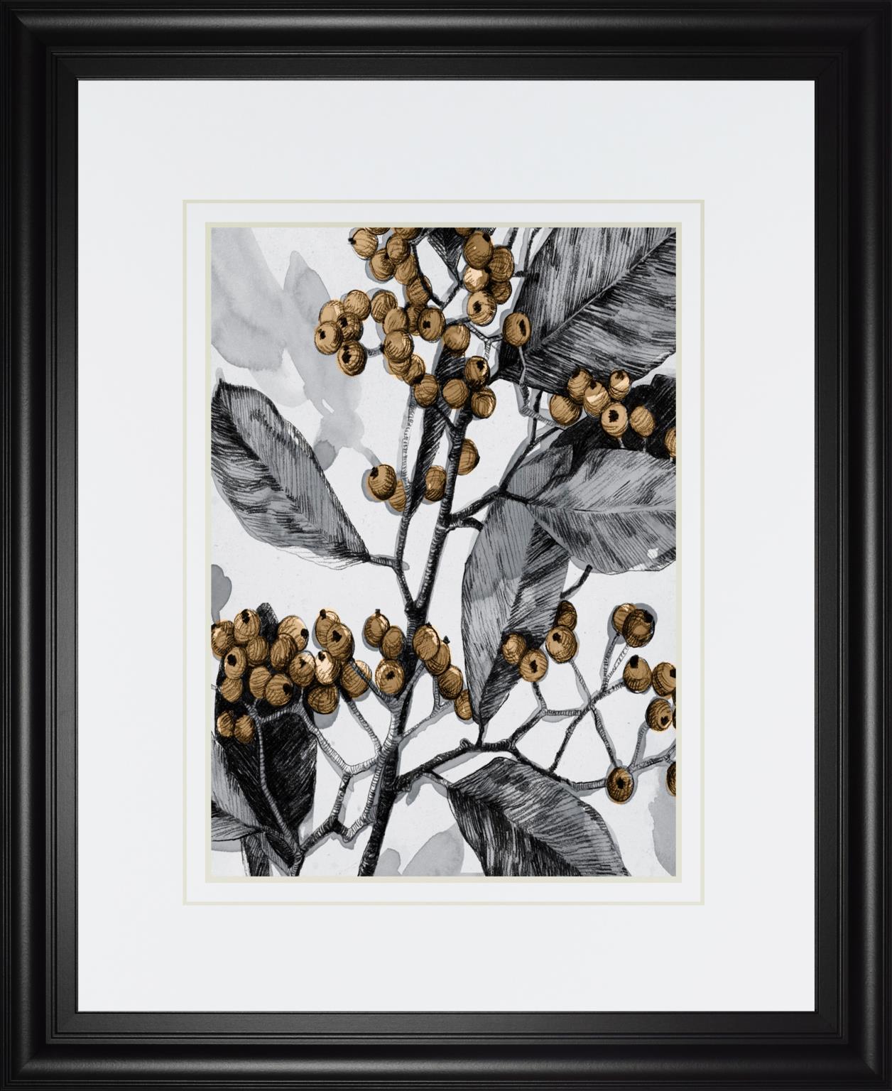 Holly Shadow I By Emma Caroline 34X40 Framed Print