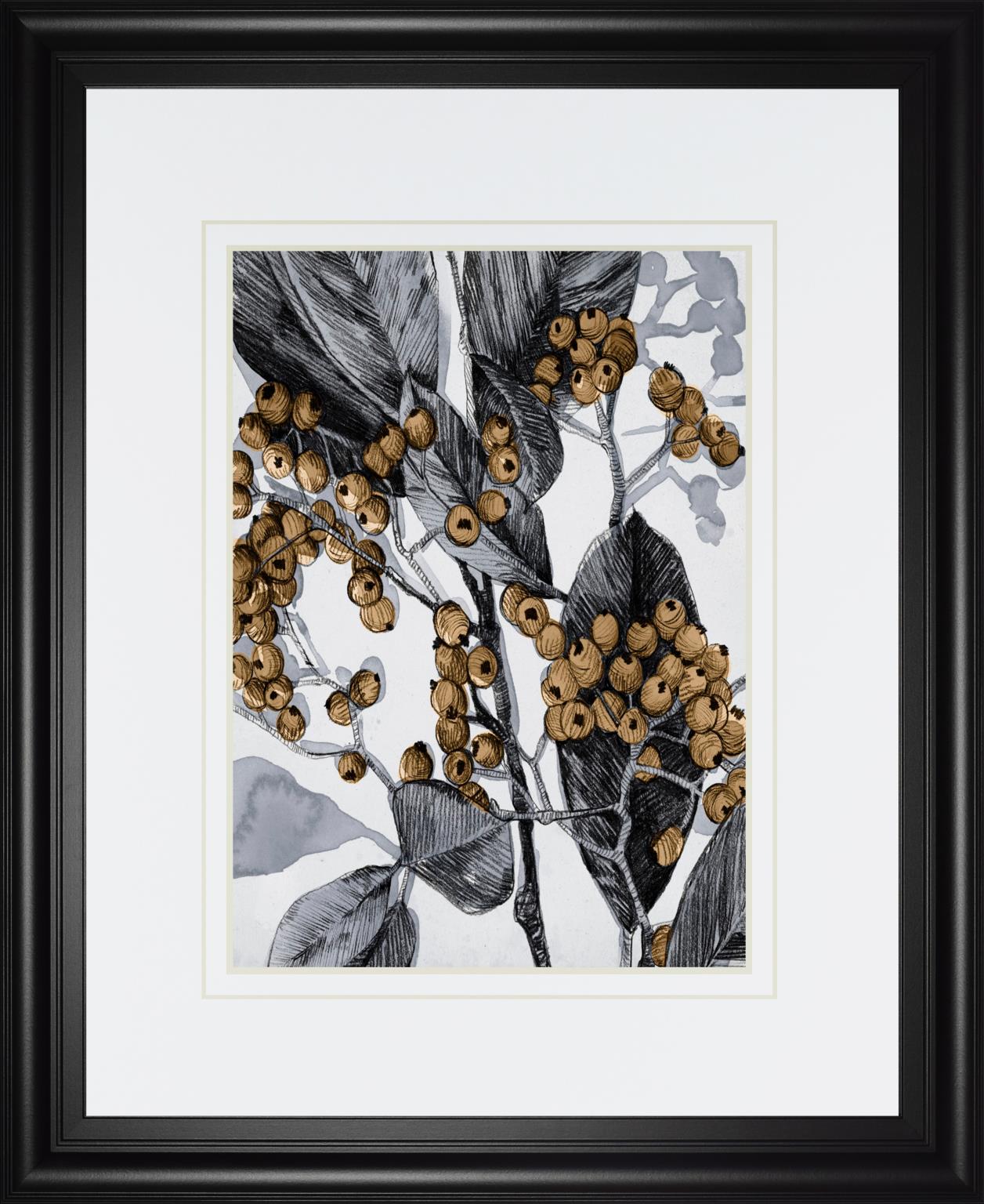 Holly Shadow Ii By Emma Caroline 34X40 Framed Print