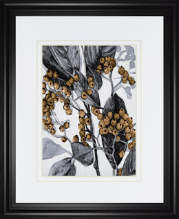 Holly Shadow Ii By Emma Caroline 34X40 Framed Print