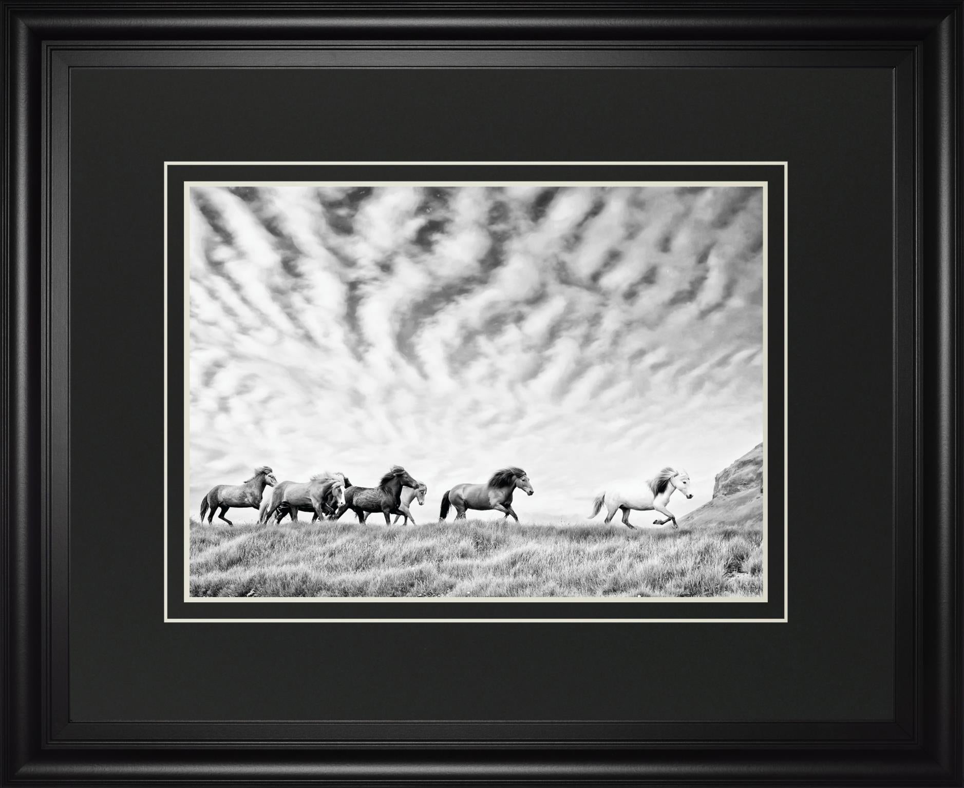 Horse Run Iii By Phburchett 34X40 Framed Print