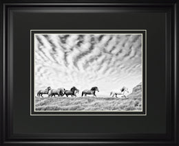 Horse Run Iii By Phburchett 34X40 Framed Print