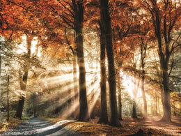 Dreaming In By Lars Van De Goor (Framed) Giclee Canvas