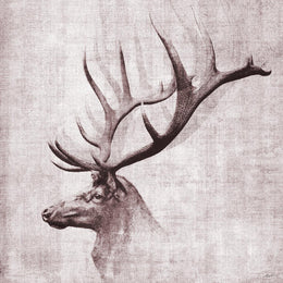 Open Range Ii By John Butler (Framed) Giclee Canvas