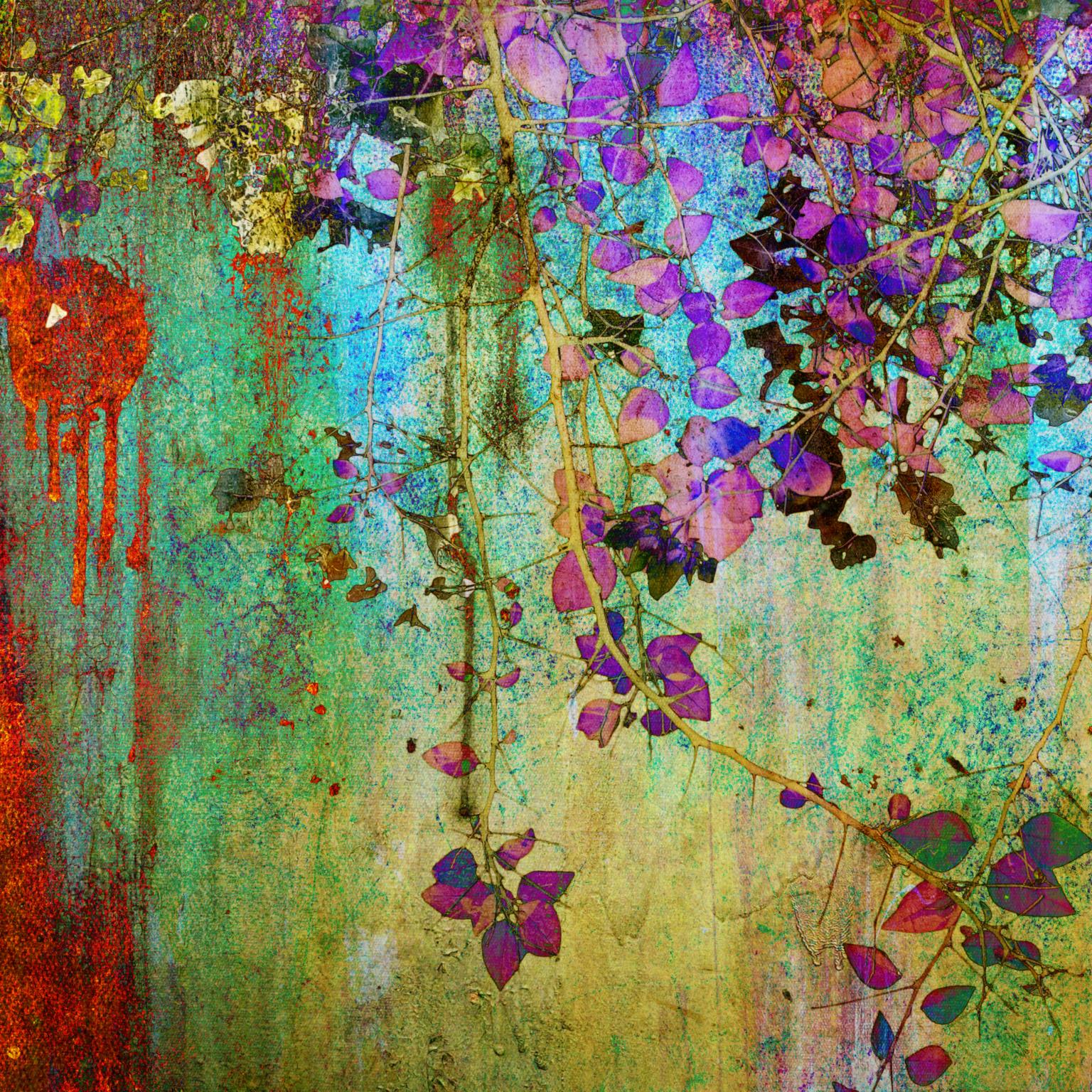 Colorful Abstract (Framed) Giclee Canvas