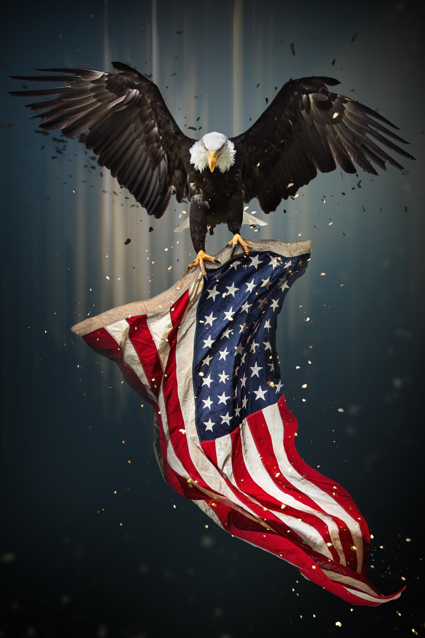 Eagle With Flag (Framed) Giclee Canvas
