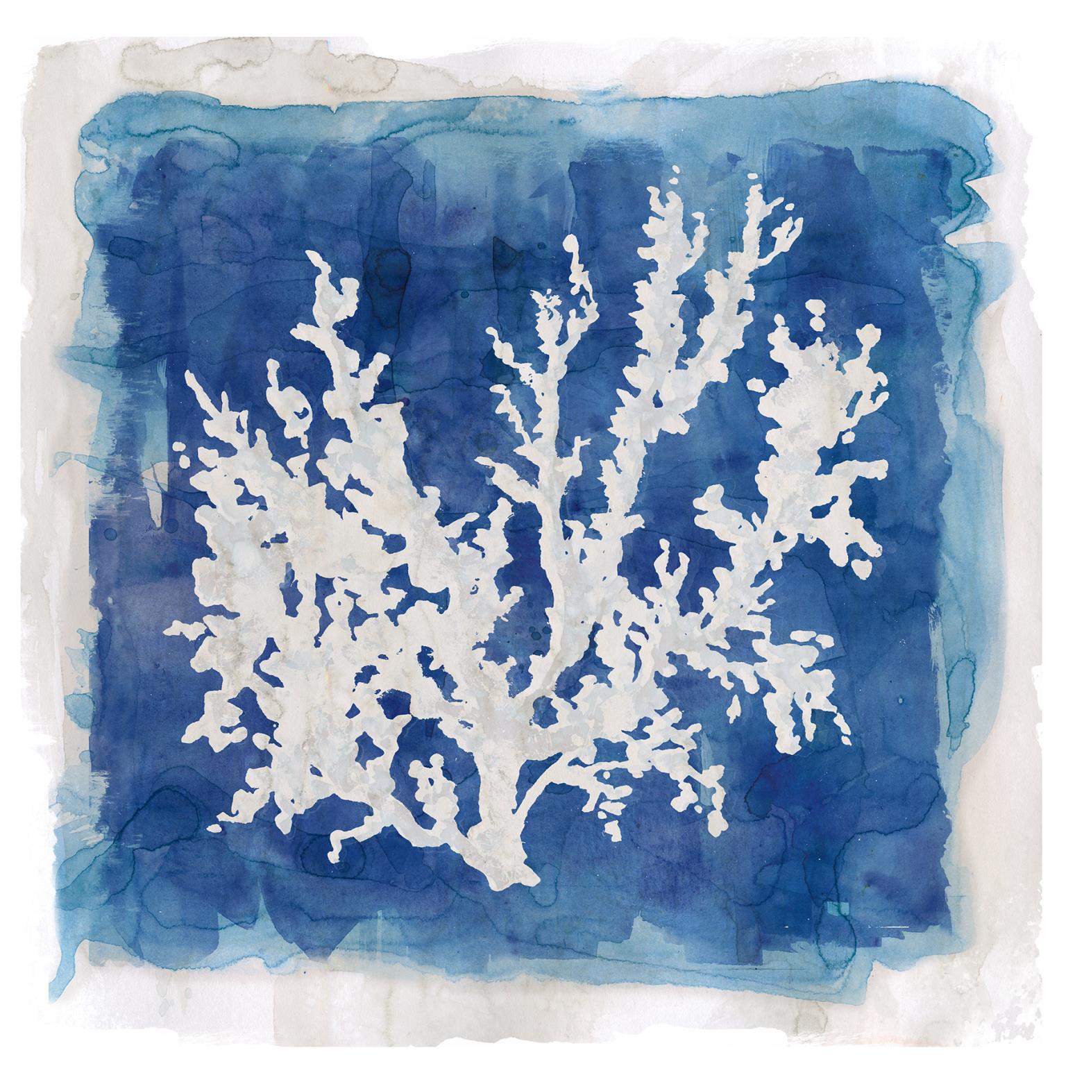 Coastal Washes Coral Ii By Carol Robinson (Framed) Giclee Canvas