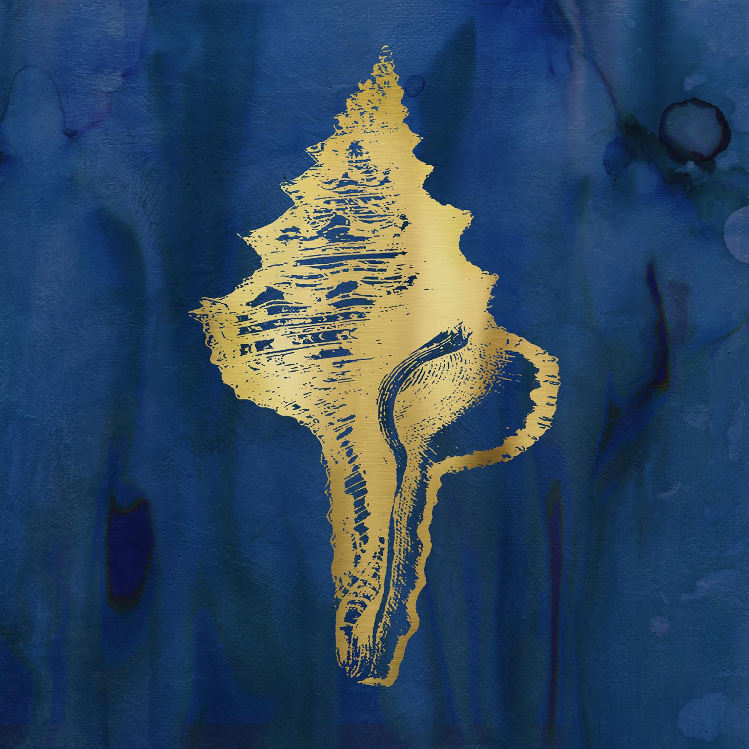 Indigo Sea Treasure I By Carol Robinson (Framed) Giclee Canvas