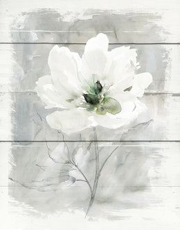 Farmhouse Rose Ii By Carol Robinson (Framed) Giclee Canvas