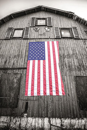 Red White & Blue By Donnie Quillen (Framed) Giclee Canvas