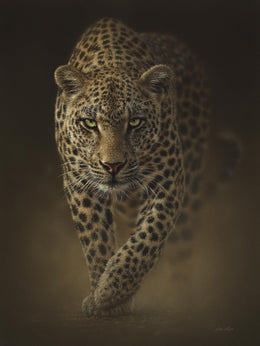 Leopard By Collin Bogle (Framed) Giclee Canvas