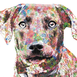 Beau By Stephanie Dicks (Framed) Giclee Canvas