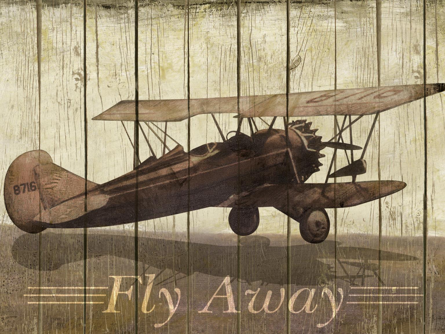Fly Away By Merri Pattinian (Framed) Giclee Canvas