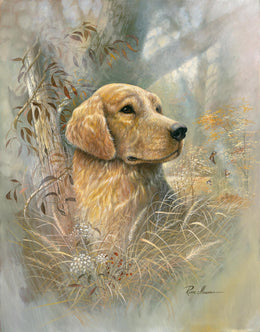 Golden Beauty By Ruane Manning (Framed) Giclee Canvas