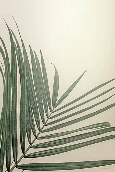 Golden Hour Palm By Jennifer Rigsby (Framed) Giclee Canvas