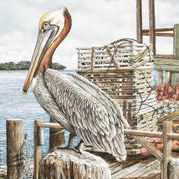 Majestic Pelican By James Harris (Framed) Giclee Canvas