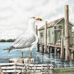 Majestic Seagull By James Harris (Framed) Giclee Canvas