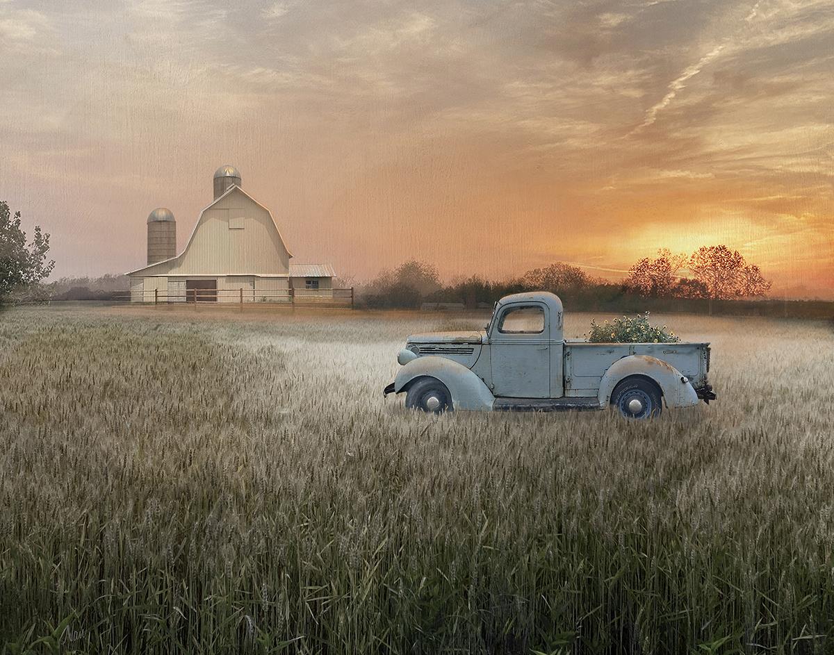Evening Farm By Nan (Framed) Giclee Canvas