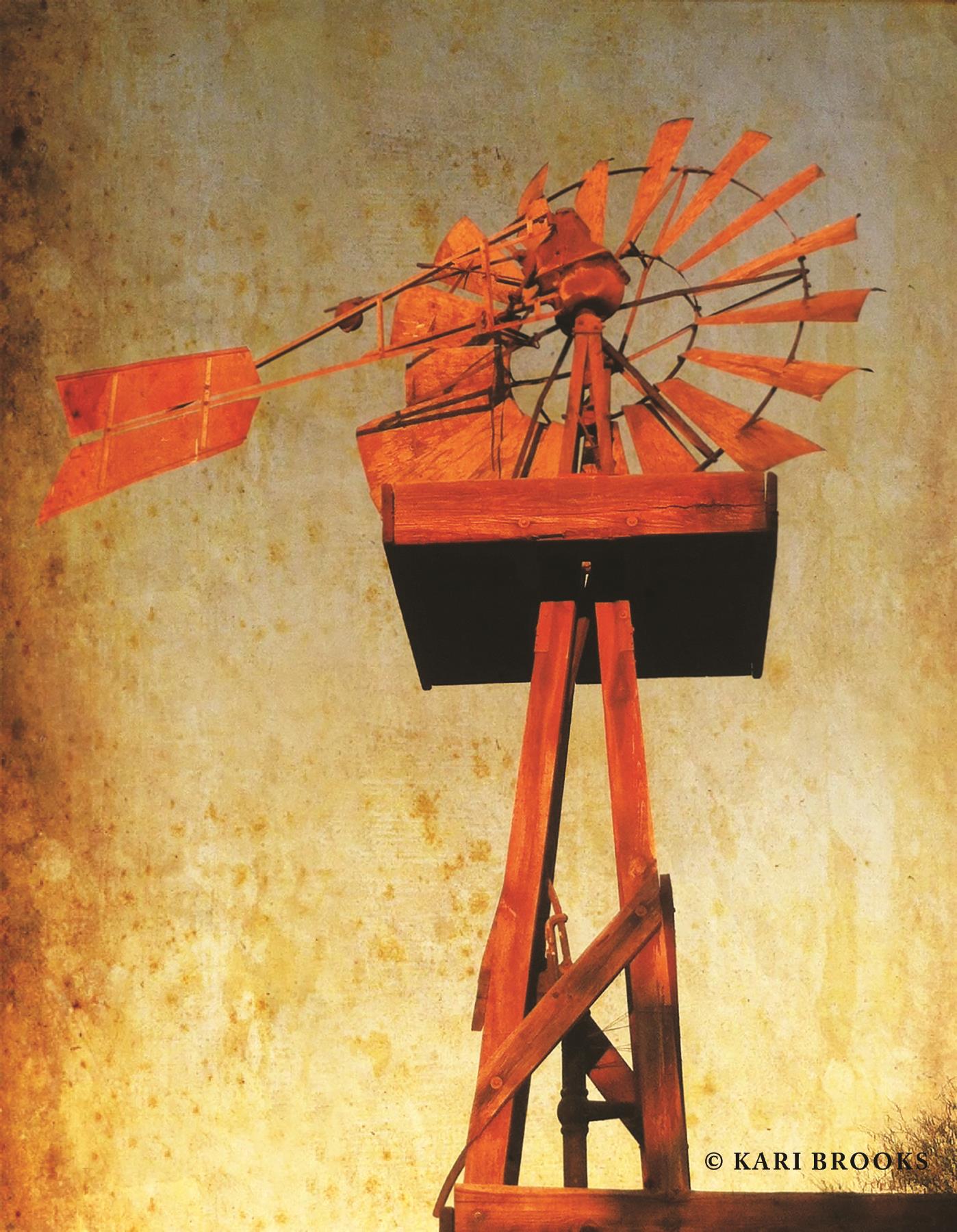 Chip'S Windmill By Kari Brooks (Small)(Framed) Giclee Canvas