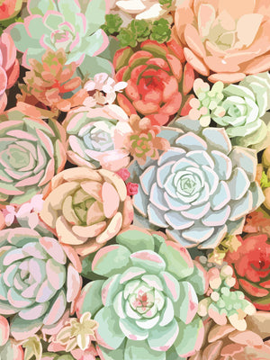 Â Succulent By Tamara Robinson (Small)(Framed) Giclee Canvas