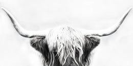 Longhorn By Danita Delimont (Small)(Framed) Giclee Canvas