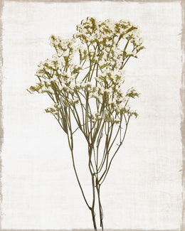 Farmhouse Pressed Flower Ii By Natalie Carpentieri (Small)(Framed) Giclee Canvas