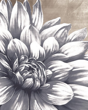Charming Floral I By Dogwood Portfolio (Small)(Framed) Giclee Canvas