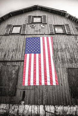 Red White & Blue By Donnie Quillen (Small)(Framed) Giclee Canvas