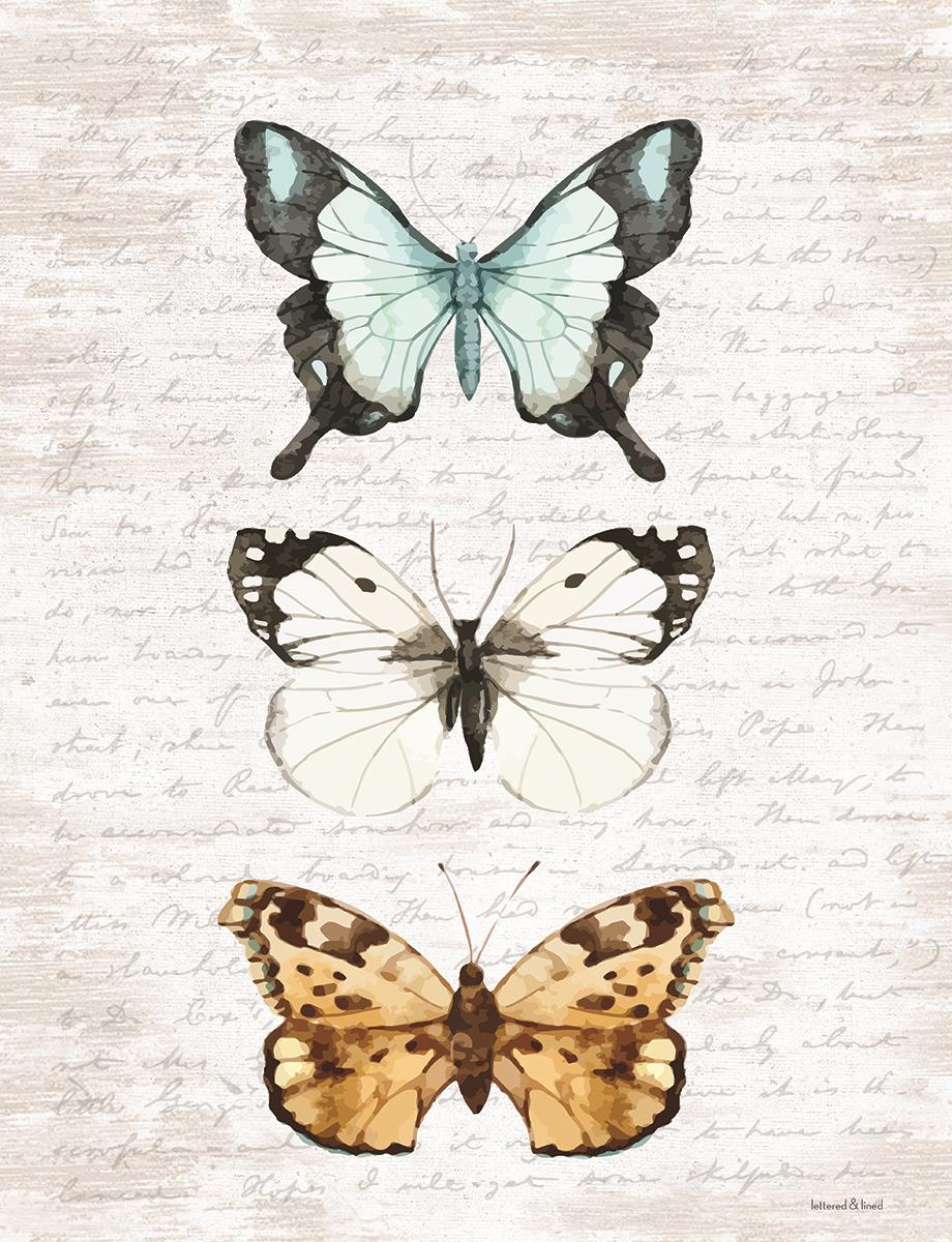 Butterfly Trio By Lettered & Lined (Small)(Framed) Giclee Canvas