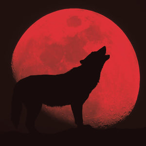 Red Wolf By Classy Art (Framed)(Small) Giclee Canvas