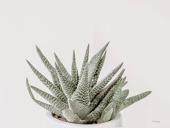 Boho Succulent By Jennifer Rigsby (Framed)(Small) Giclee Canvas