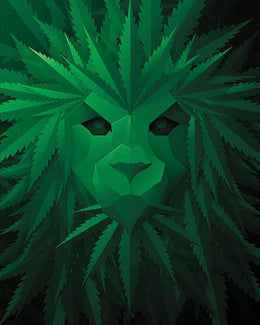 Green Lion  By Jg Studios (Framed)(Small) Giclee Canvas