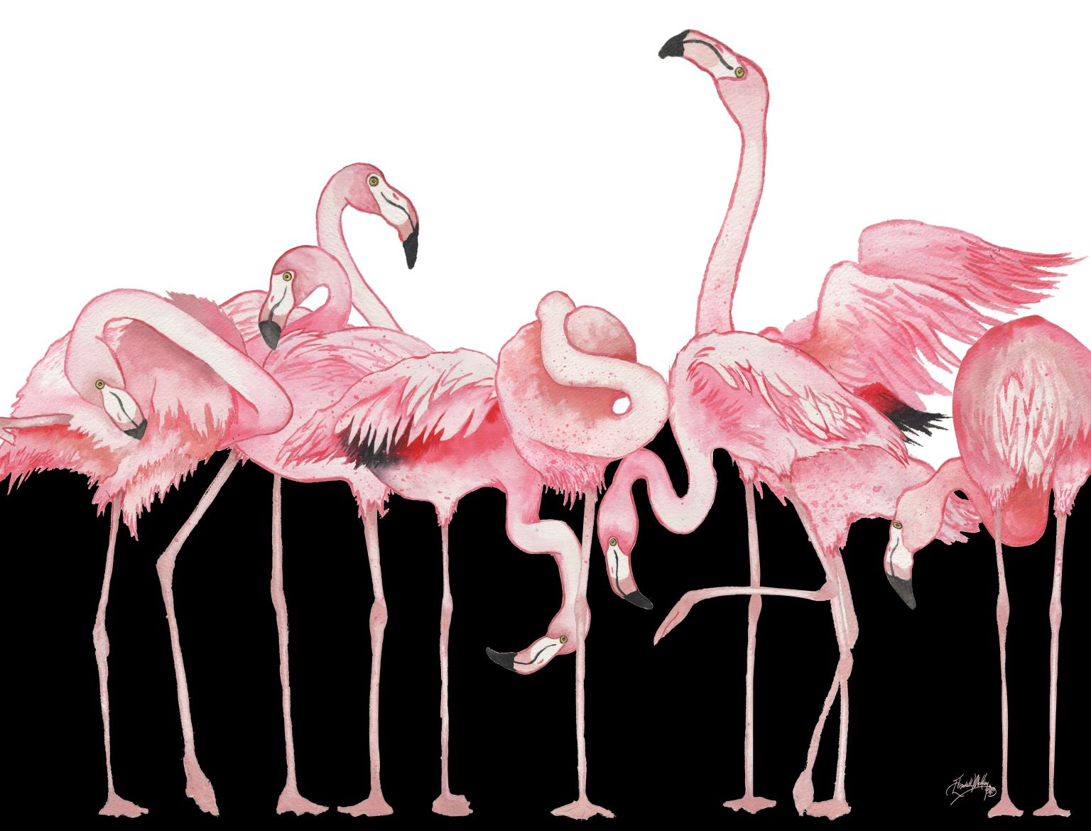 Black And White Meets Flamingos By Elizabeth Medley (Framed)(Small) Giclee Canvas