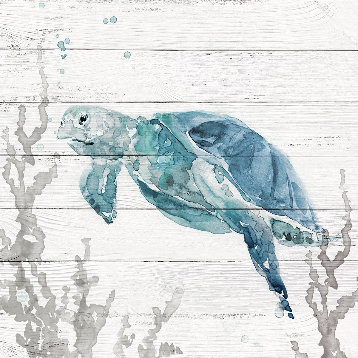 Aqua Turtle Ii By Carol Robinson (Framed)(Small) Giclee Canvas
