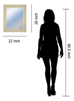 22X26 Promotional Mirror Frame #41 22X26 Framed Print