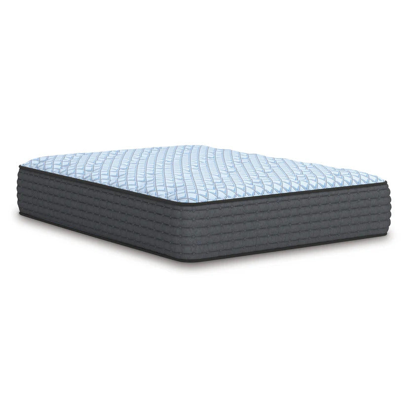 ASM331 Destin Cove Plush 15"